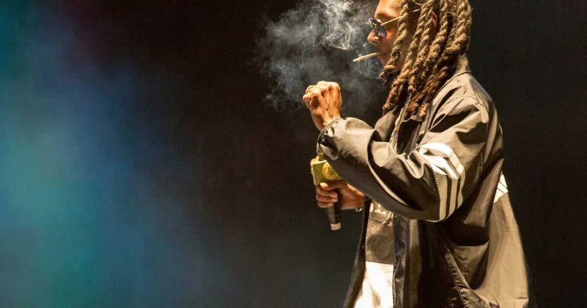 Снуп дог с косяком. Снуп дог курит травку. Снуп дог бросил. Кудрявый снуп дог. Снуп дог курит травы.