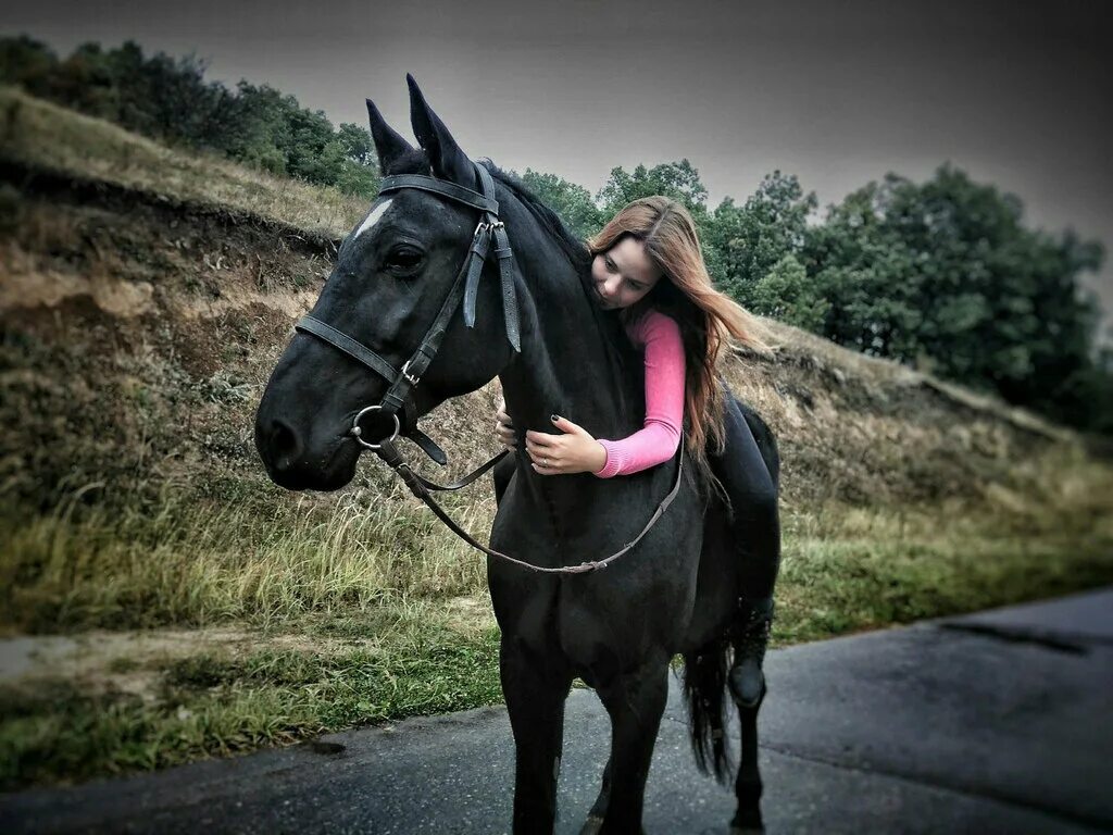 Конный остров Белгород. Конный остров крутой Лог. Фотосессия с лошадьми. Фотосессия с лошадьми образы. Конюшня остров