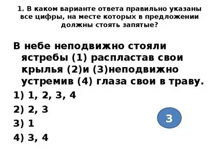 В небе неподвижно стояли ястребы распластав крылья