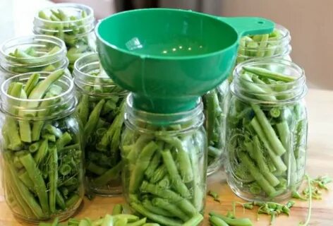 Заготовка стручковой