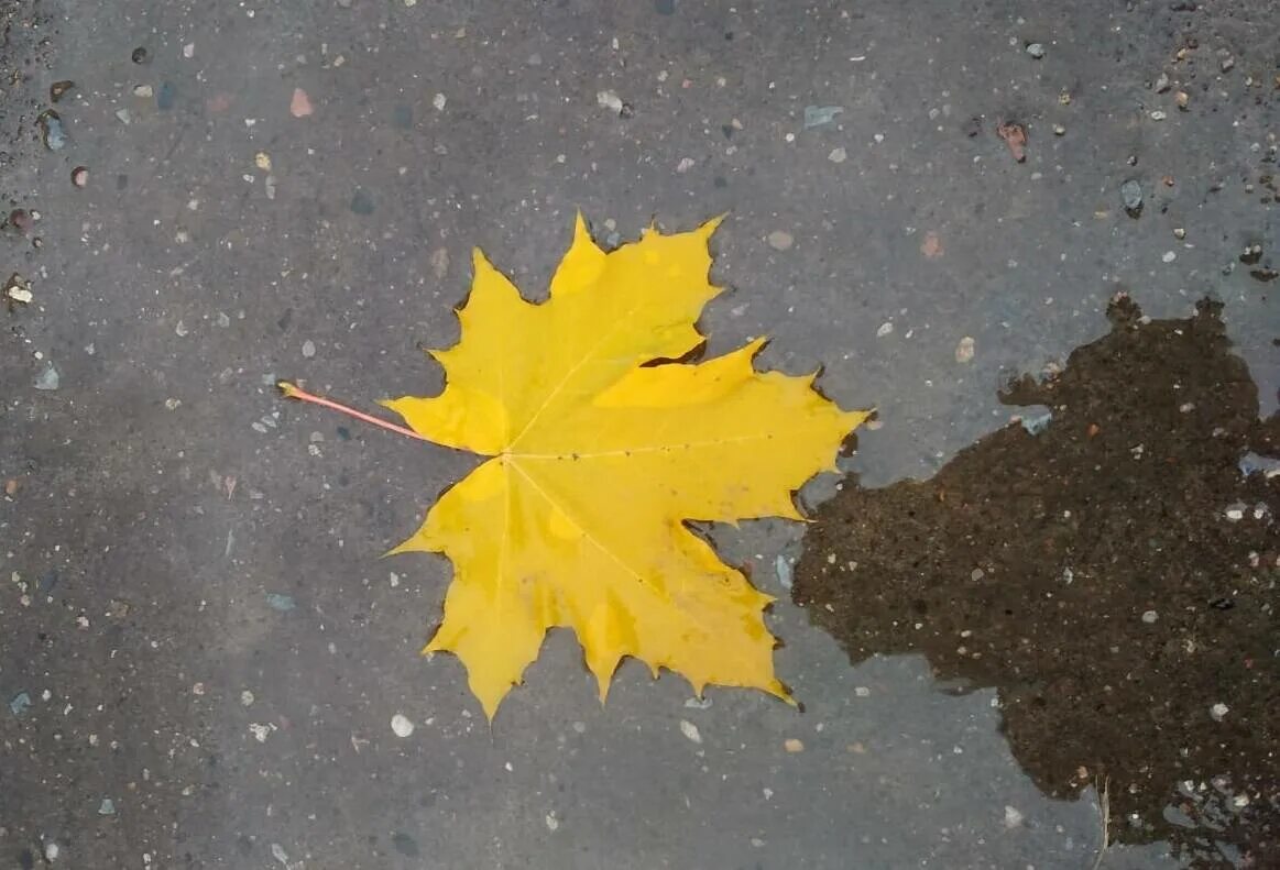 Теплые снежки. В литве холодно. Довольно теплый. Довольно теплый. Теплые слова дорогому человеку.