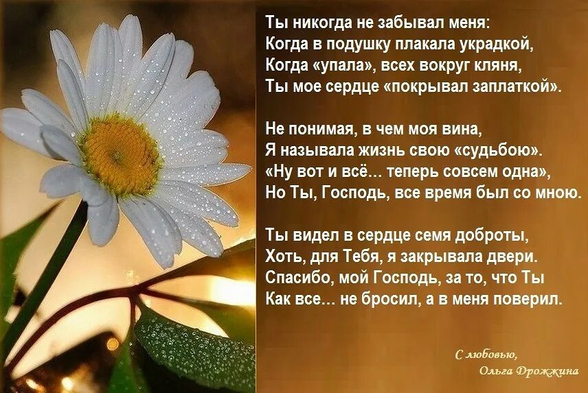 Песня я люблю все что богом дано. Стихи. Христианские стихотворения. Красивые стихи о жизни. Открытки со стихами о жизни.