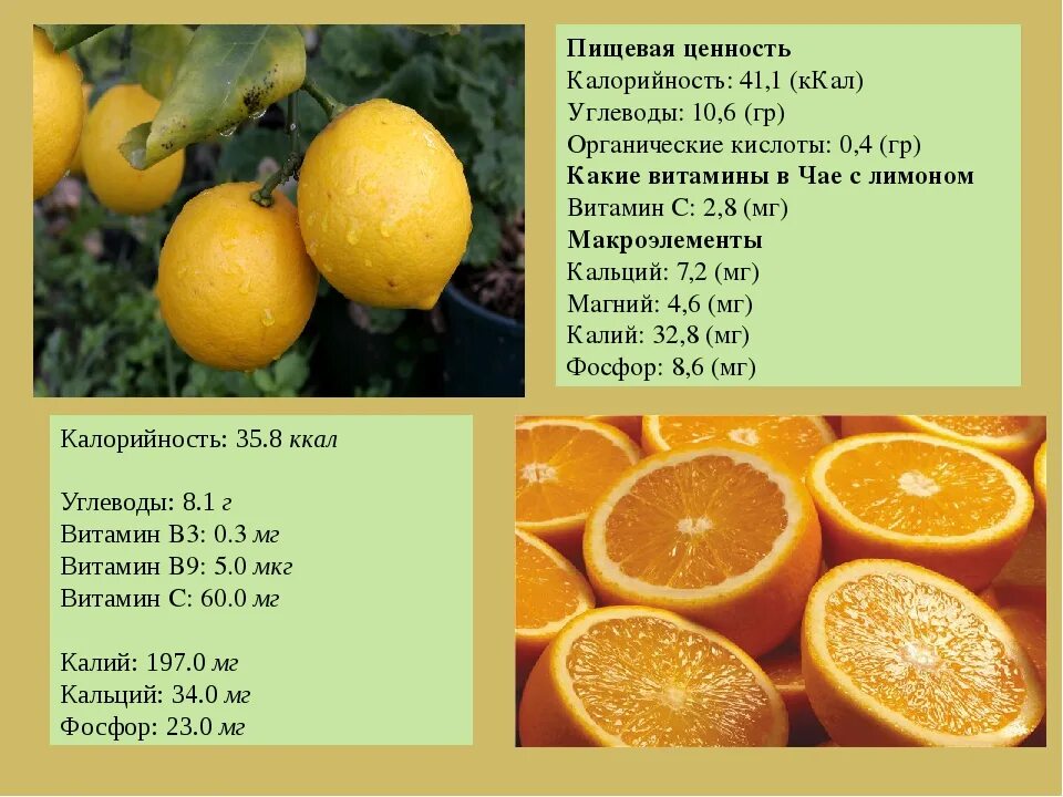 Апельсин килокалории. Лимон калории. Пищевая ценность лимона. Витамины в лимоне. Витамины в апельсине.