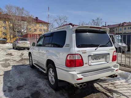 Сигнус южно
