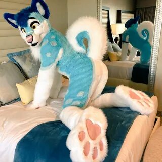 Fursuit porn straight