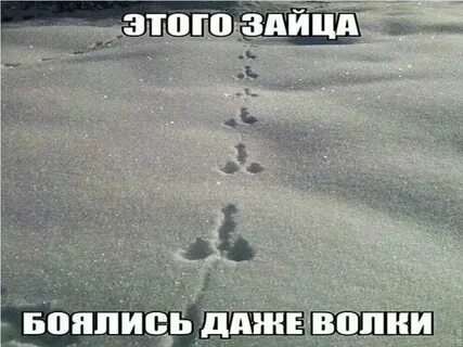 Оставили в душе неизгладимый песня