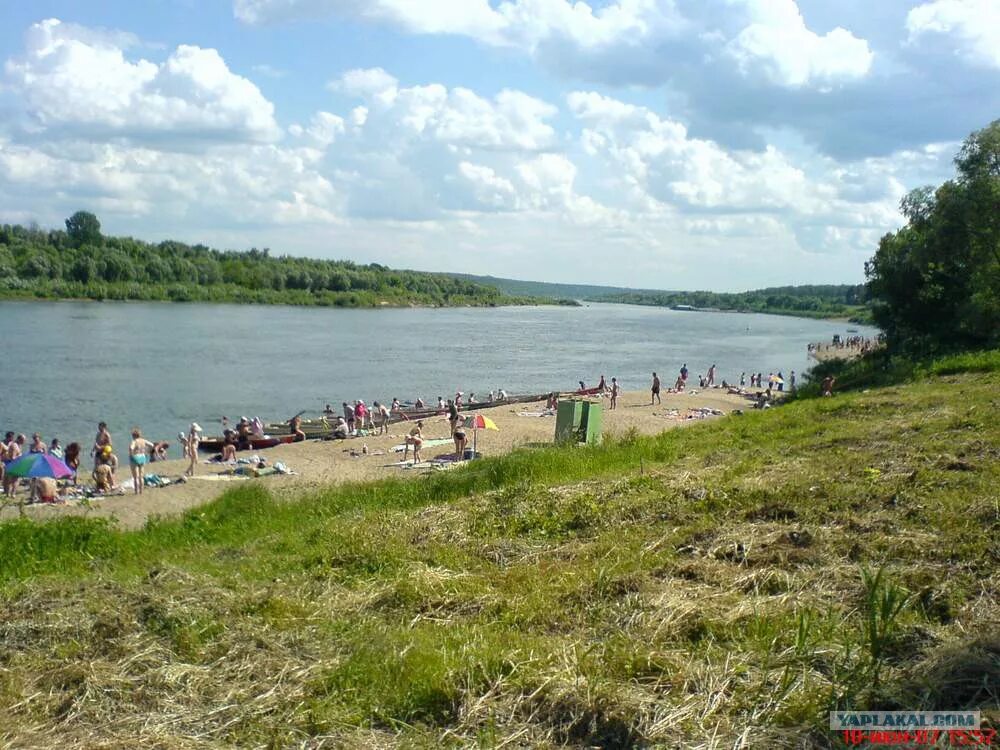 Набережная оки таруса. Отдых таруса на берегу оки. Река ока таруса. Таруса на оке?. Отдых таруса на берегу оки.