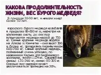 Решите задачу определите вес бурого медведя