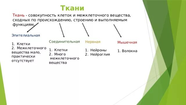 Сходные по строению функциям и происхождению. Наличие межклеточного вещества в нервной ткани. Особенности клеток и межклеточного вещества нервной ткани. Расположение клеток и межклеточного вещества нервной ткани. Назовите межклеточное вещество нервной ткани.