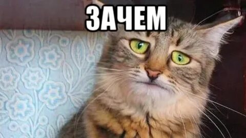 Прохладно слова