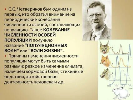 Четвериков москва
