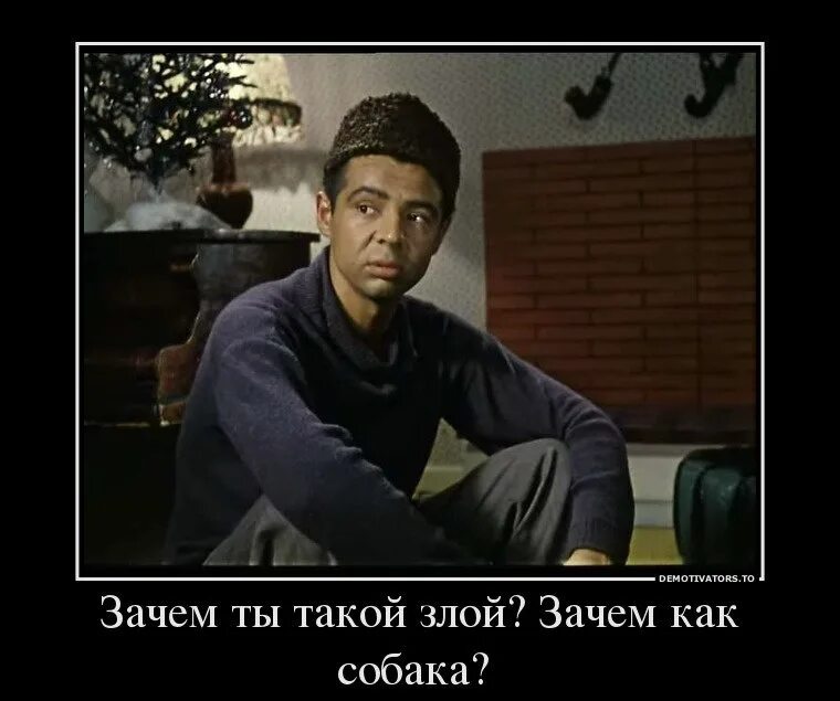 Зачем быть злее. Зачем быть злее. Я почему раньше злой был. Я почему раньше злой был. Зачем ты такой злой, как собака?.