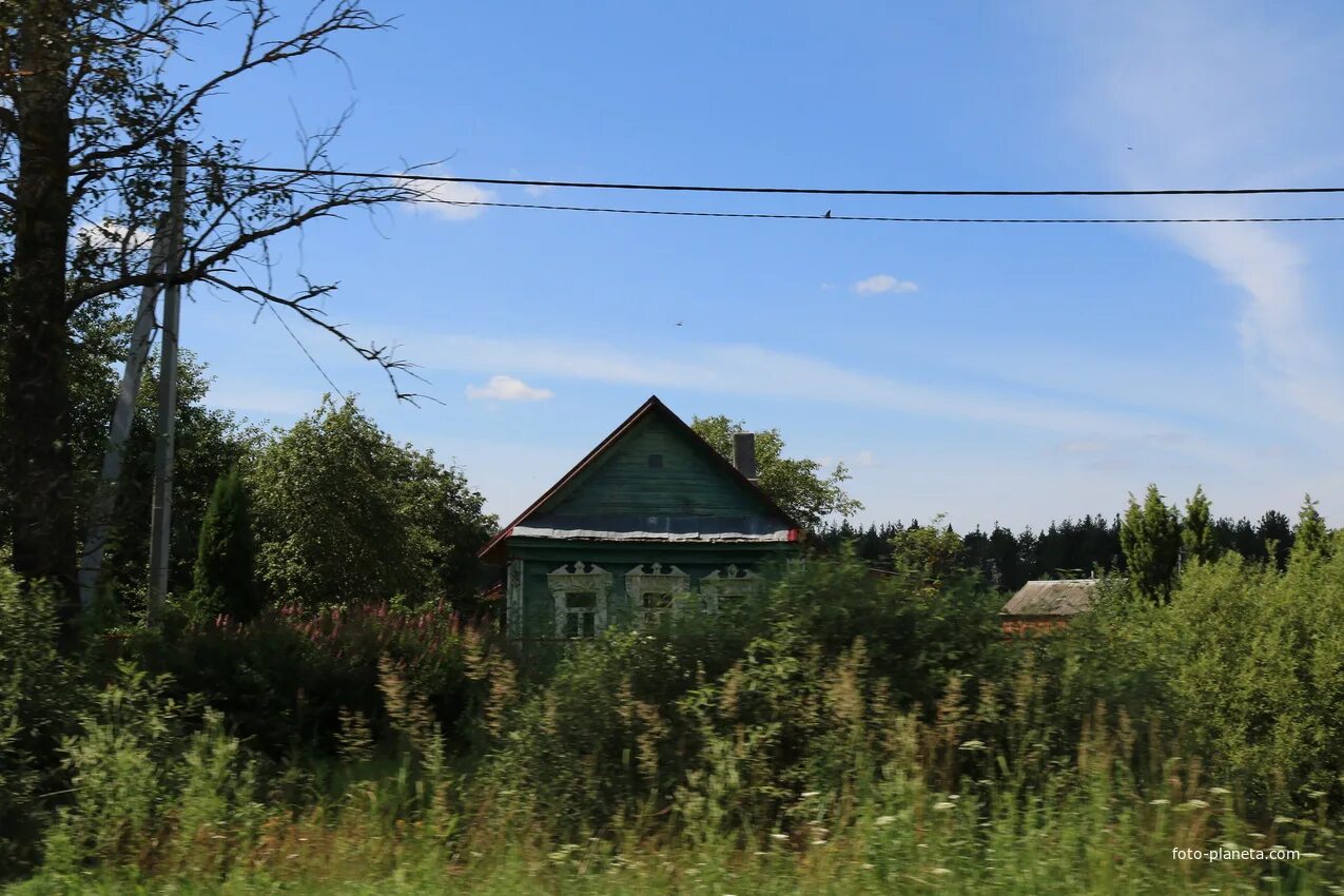 Погода костино орехово зуевского