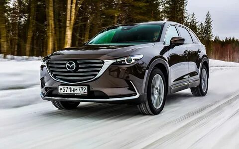 Cx 9 2023
