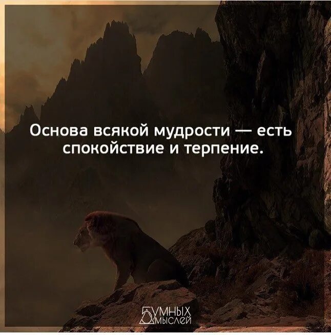 Терпеливый цитаты. Мудрые мысли о спокойствии. терпение и спокойствие. терпение и спокойствие цитаты. высказывания о спокойствии.
