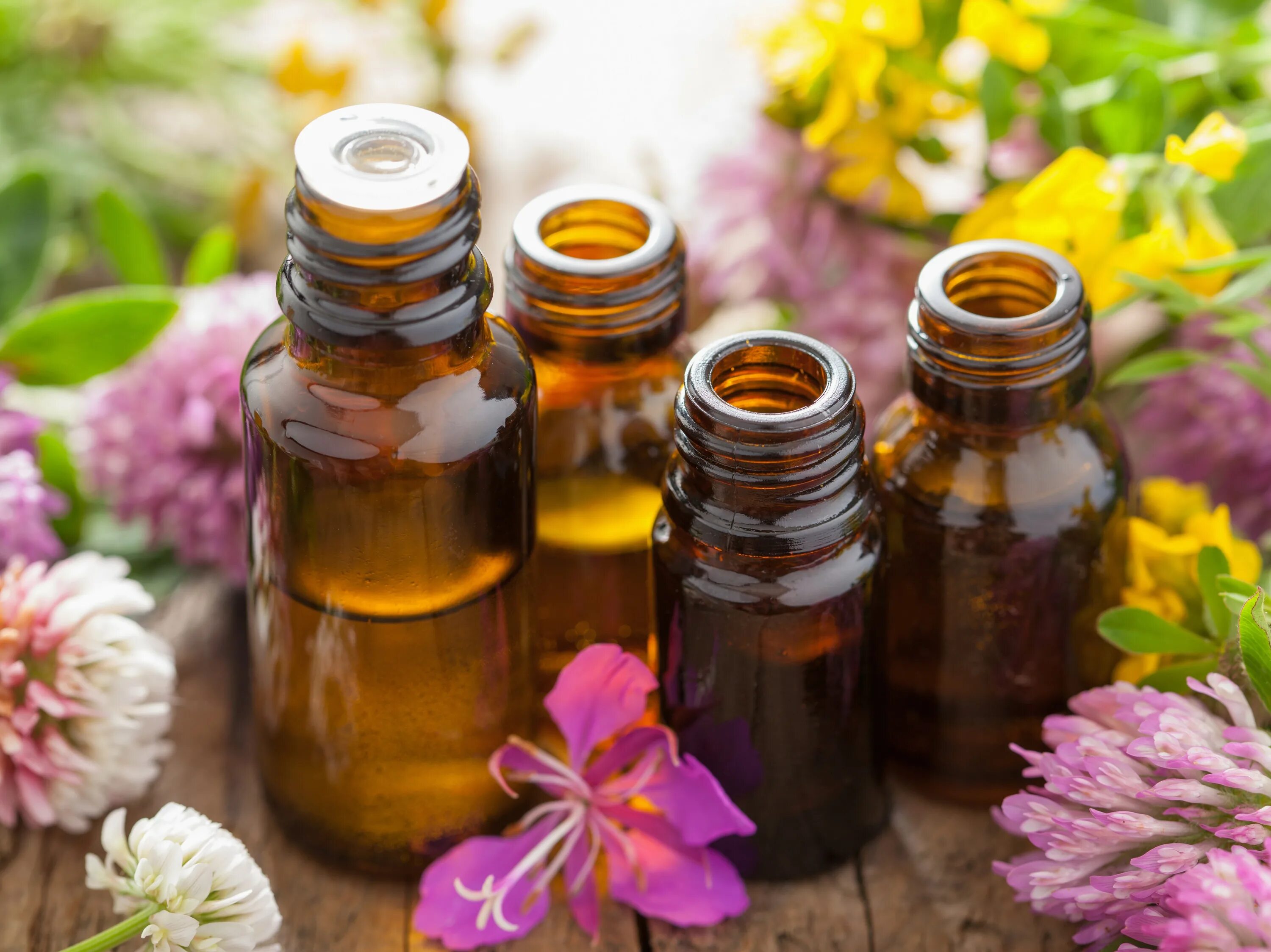 Эфирные масла doterra. Эфирные масла. Натуральные эфирные масла. Doterra essential oils. Аромать.