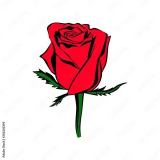 Команды rose