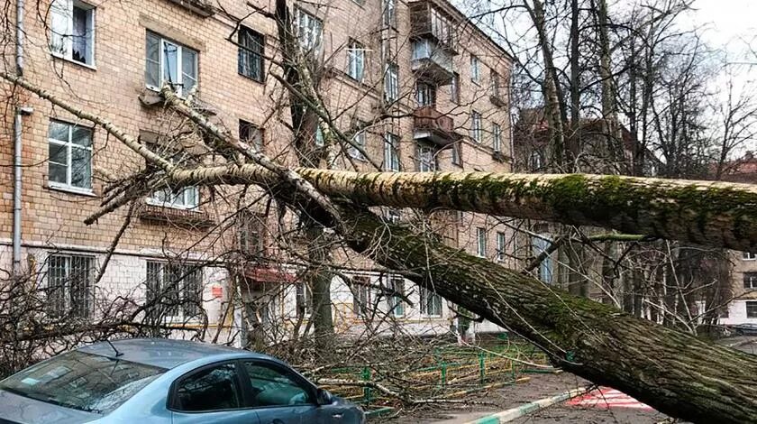 В какую сторону идет ураган из москвы. Ураган в москве 1998. ураган 98 года в москве. смерч в москве 1998. ураган 1998 года в москве фото.
