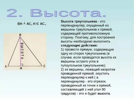 Сколько высот можно провести