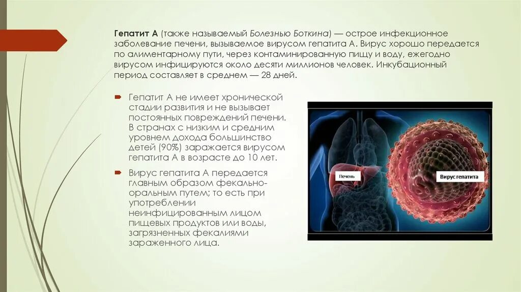 Заболевания передающиеся через воду. Инфекционные болезни передающиеся через воду. Бактериальные заболевания, передающиеся через воду. Заболевания передающиеся через воду гигиена. Называют заболевание связанное с