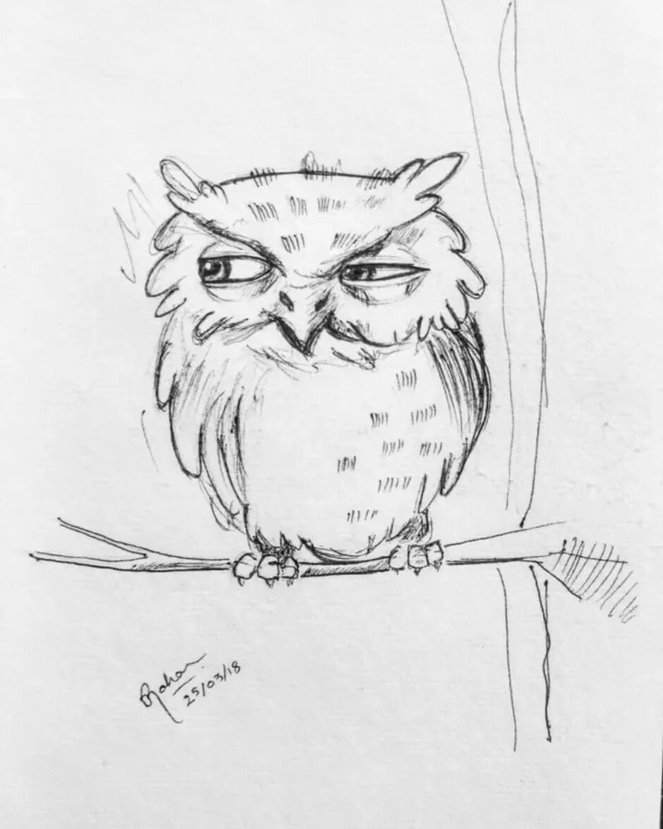 Сова для срисовки. Сова рисунок. Сова рисунок. Сова карандашом. Сова рисунок для срисовки.