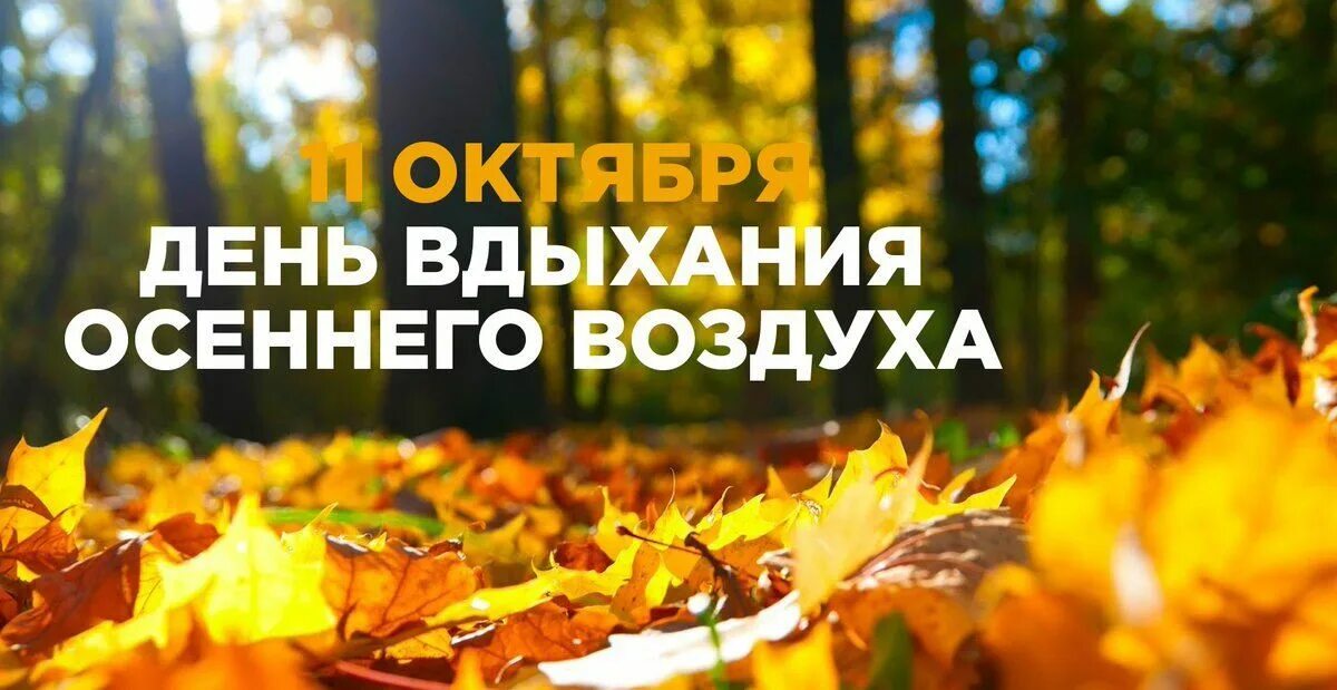 Какого октября заканчивается. День вдыхания осеннего воздуха. день вдыхания осеннего воздуха 11. 11 октября день вдыхания осеннего. день вдыхания осеннего воздуха 11 октября картинки.