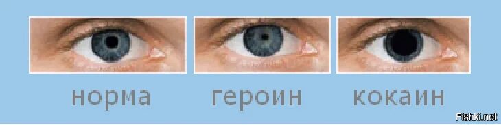 Суженные зрачки признак чего. От наркотиков зрачки сужаются.