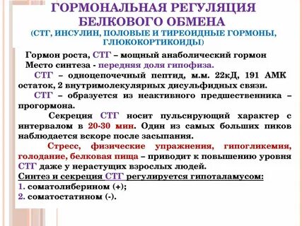 Регуляция обмена белков