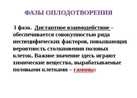 2 фаза оплодотворения
