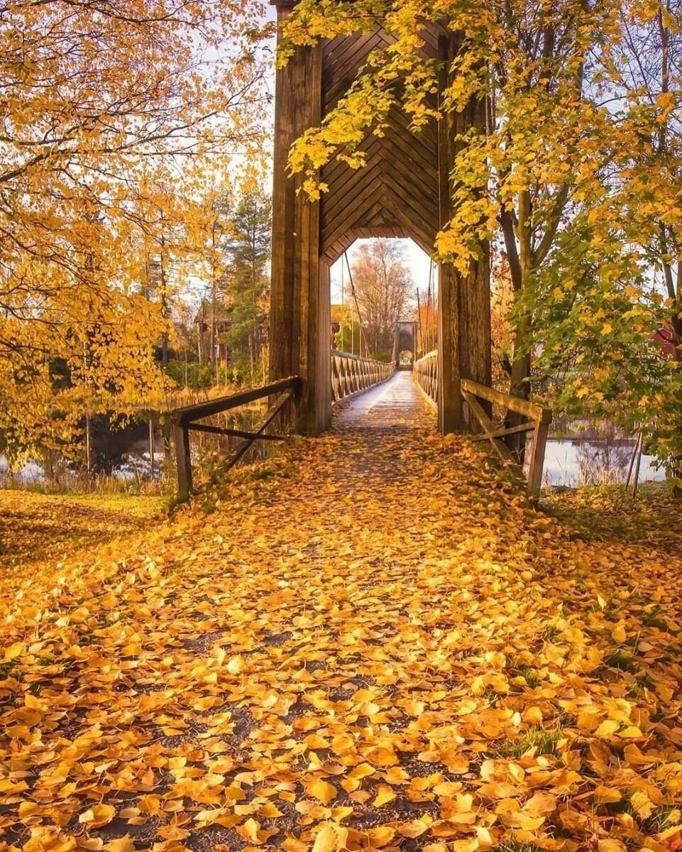 Листопад в городе. Город осень кружатся листья. Листья жёлтые над городом кружатся картинки. Фото листья желтые над городом кружатся. Осень мостик.