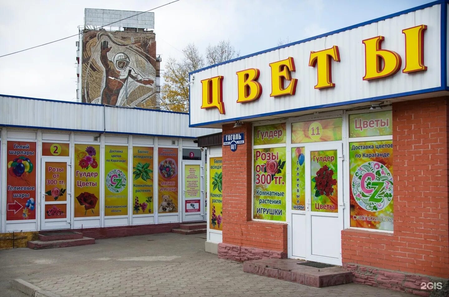 Цвета караганды. Караганда цветок. Караганда 30 микрорайон. Здание цирка в караганде. Караганда цветок.