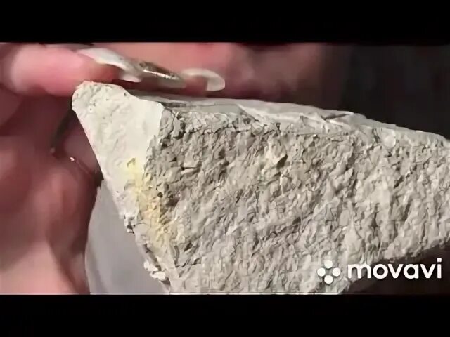Мелок мокрый