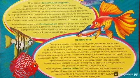 Золотая рыбка центр развития
