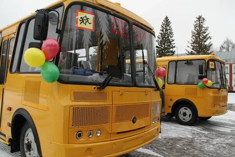 Сланцы школьный автобус
