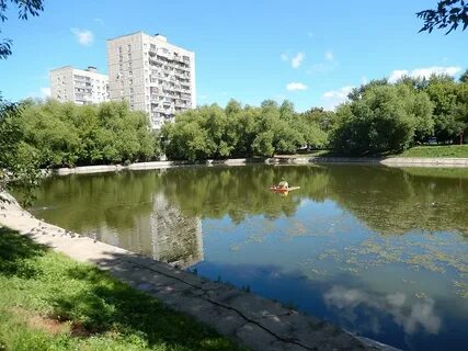 Москва пр мичуринский река