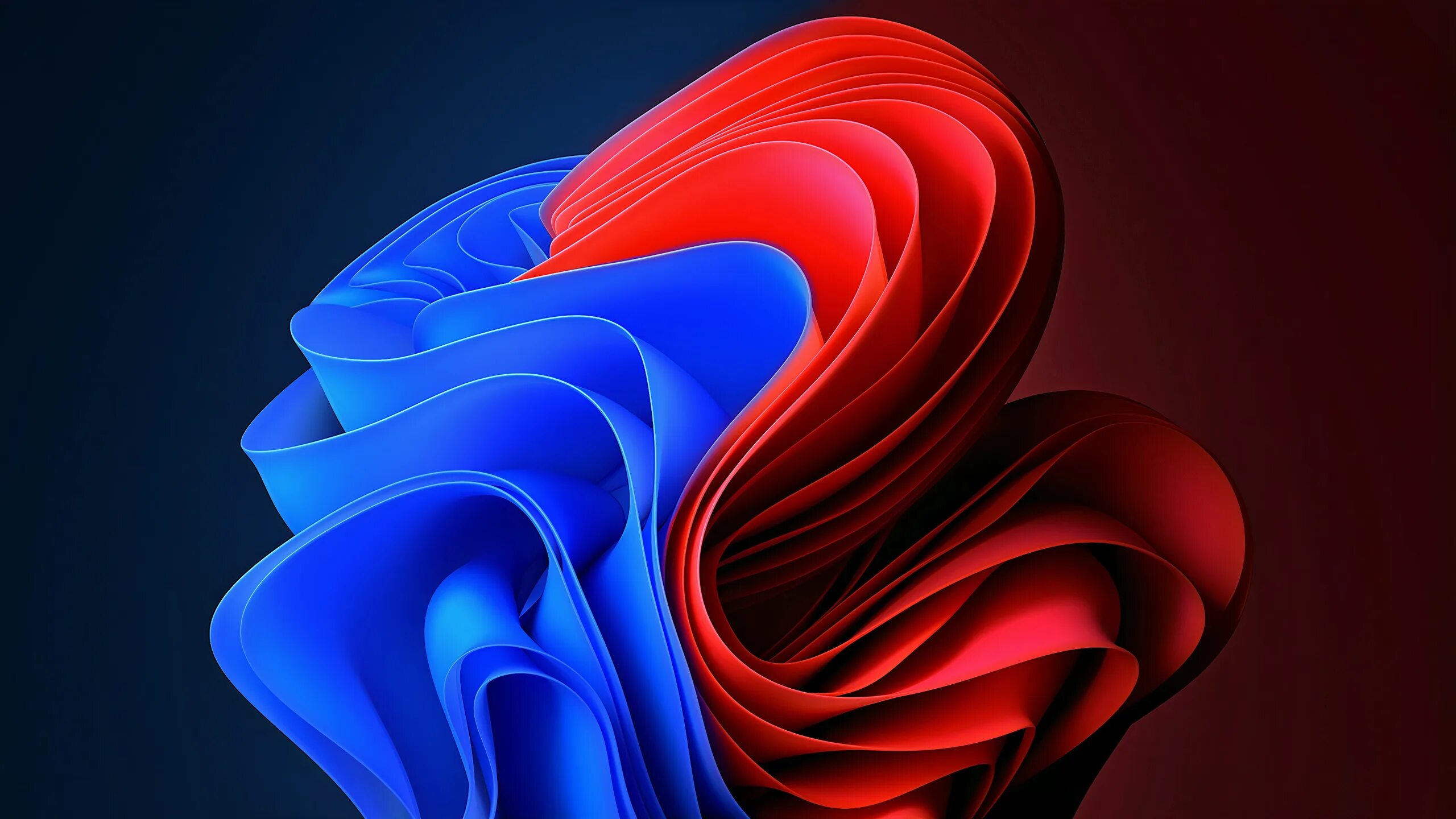 Windows 11 color. Windows 11 pro. обои windows 11. windows 11 фото. windows 11 pro обои.