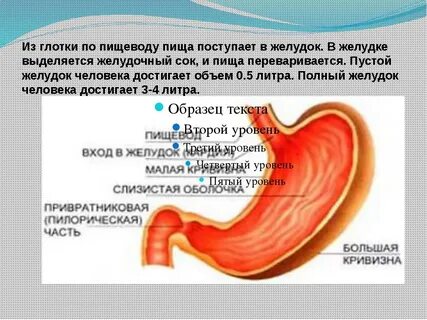Еда не поступает