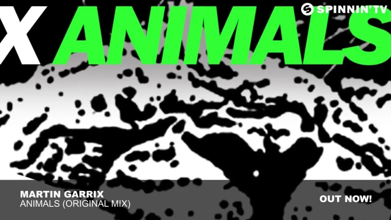Martin Garrix animals. Animal (Original Mix). Martin Garrix - animals Official. Martin Garrix animals 5 03.