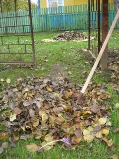 Куда деть опавшие листья