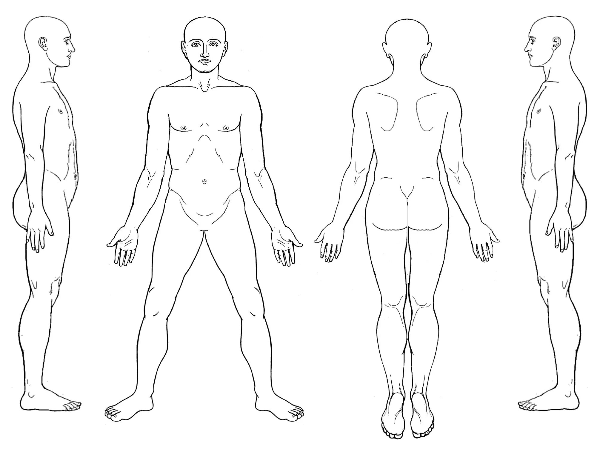 Пропорции ребенка 7 лет схема. Blank body. Схемы тела человека в судебной медицине. Ориентировка в схеме собственного тела. Схематичное изображение тела.