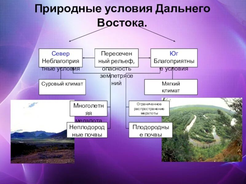 Каковы различия северной и южной частей дальнего. Природные услоаиядальнего Востока. Природные условия дальнего Востока. Природные условия на востоке. Природные условия и ресурсы дальнего Востока.