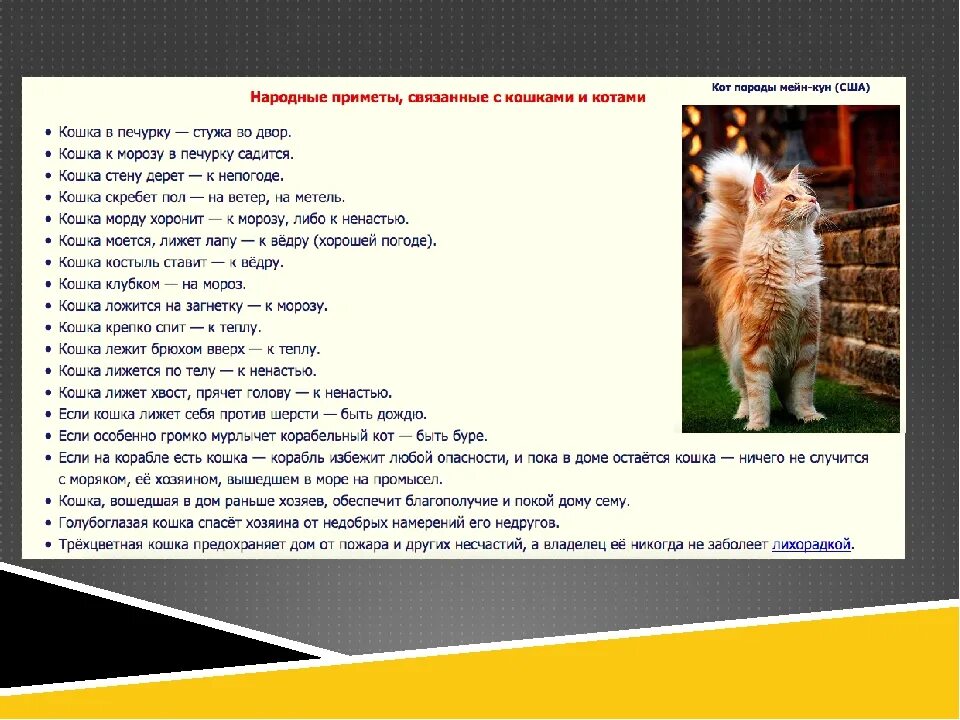 Кот ушел из дома приметы. Приметы о котах. народные приметы про кошек. приметы про кошек в доме. поверья о кошках.