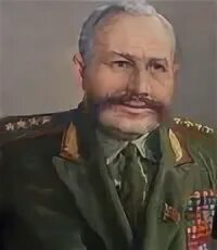 Полкан штеменко