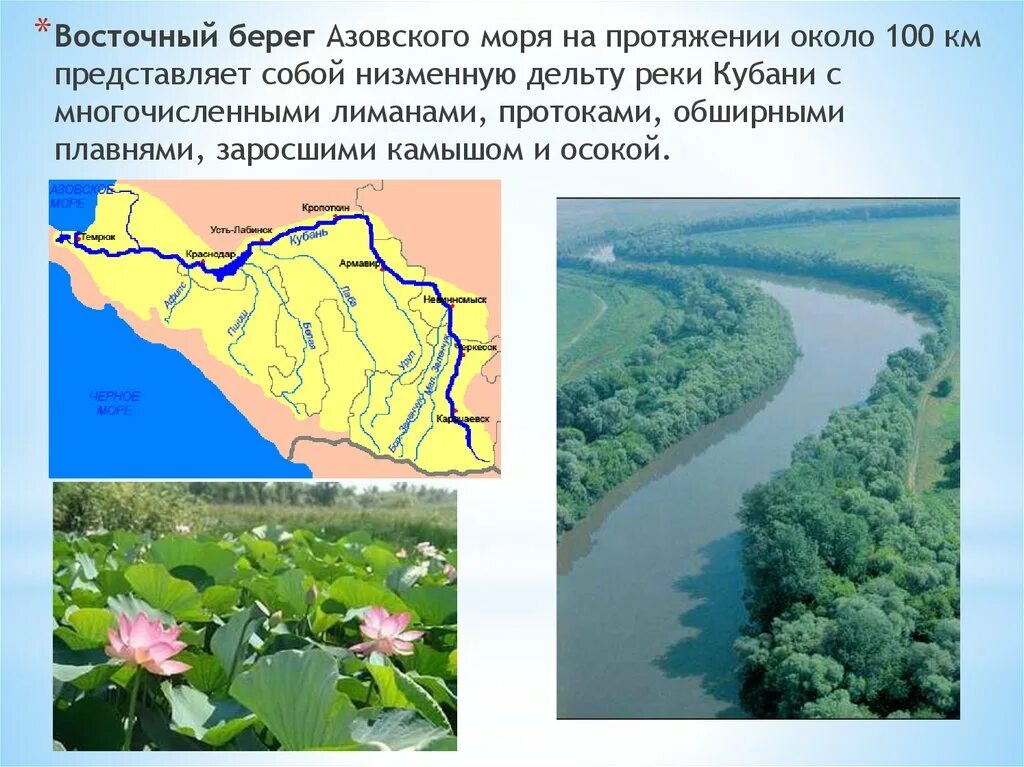 Карта плавней. Дельта реки Кубань. Низовья реки Кубань. Река протока Краснодарский край на карте. Дельта Кубани на карте.