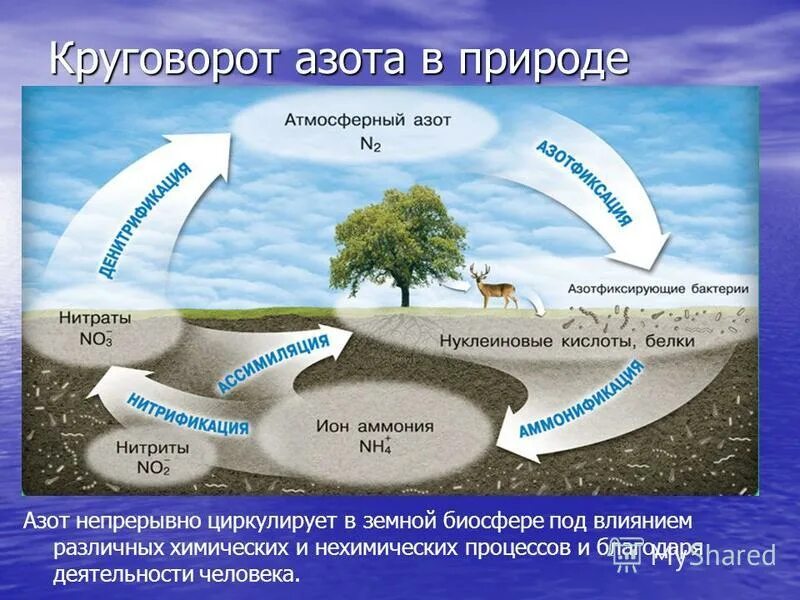Круговоротами дивных событий
