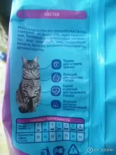 Разбор состава корма для кошек
