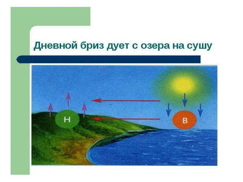 Ветер дует из области давления. Схема образования ветра. Дневной и ночной Бриз. Схема появления ветра. Схема дневного бриза.