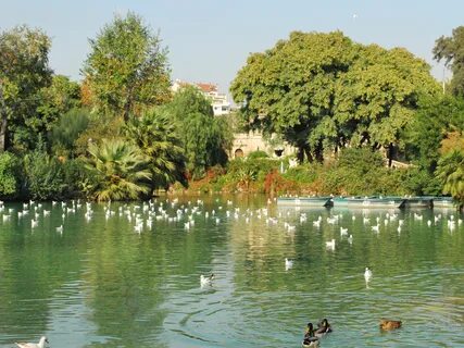 Parc