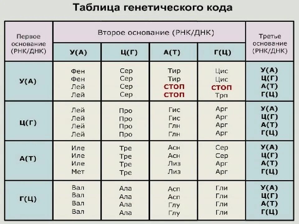 Белковый код. Таблица генетического кода по ДНК И РНК. Таблица генетического кода ДНК И РНК. Таблица генетического кода ИРНК. Таблица генетического кода ИРНК И ДНК.