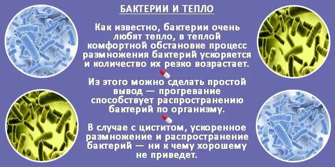 Цистит вызывается бактериями. Цистит микроорганизмы. Теплая бутылка между ног при цистите. Бутылка с горячей водой при цистите. Цистит горячая вода